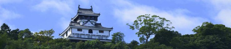 岩国錦帯橋空港・新岩国から直行で岩国市観光